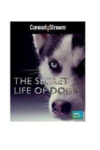 La vida secreta de los perros (2013)