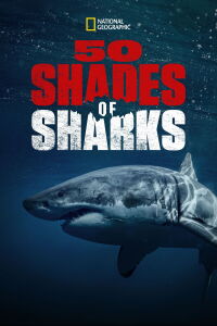 La vida secreta de los tiburones (2020)