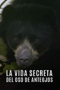 La Vida Secreta del Oso de Anteojos (2021)