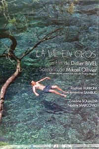 La vie en gros (2002)