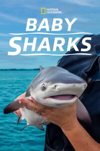 La vie extraordinaire des bébés requins (2022)