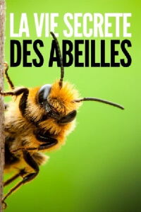 La vie secrète des abeilles (2021)