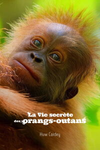 La Vie secrète des orangs-outans (2024)