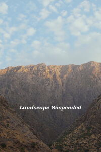 Landscape Suspended (2022)