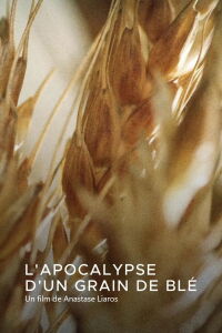 L'apocalypse d'un grain de blé (2021)