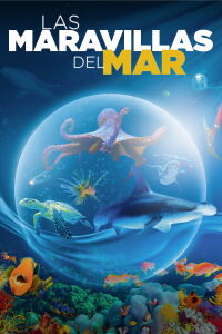 Las maravillas del mar (2017)
