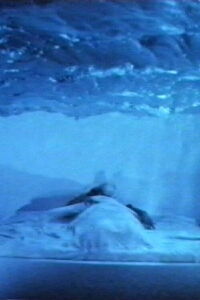 L'attacco col fuoco (Plagium 14) (1997)
