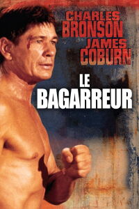 Le Bagarreur (1975)