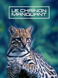 Le Chaînon Manquant (2020)