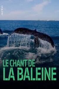 Le chant de la baleine (2009)