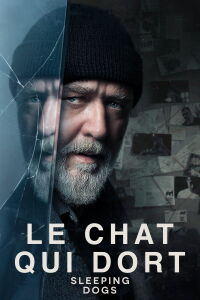 Le chat qui dort (2024)