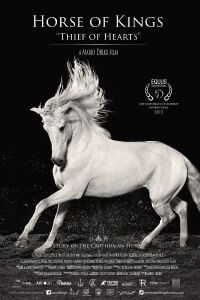 Le cheval andalou (2015)