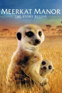 Le Clan des suricates - L'aventure commence (2008)