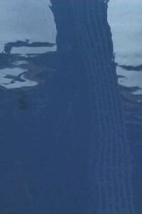 Le Cri (2001)