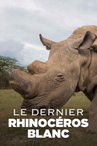 Le Dernier Rhinocéros blanc (2019)