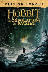 Le Hobbit : La désolation de Smaug (2013)