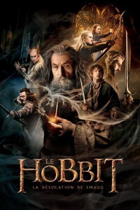Le Hobbit : La désolation de Smaug (2013)