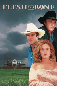 Le lien (1993)