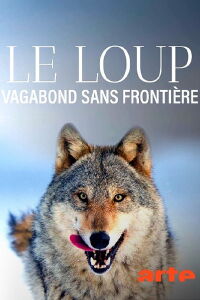 Le Loup, un vagabond sans frontière (2022)