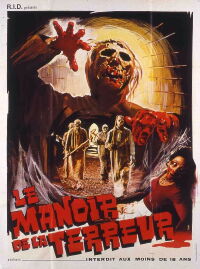 Le manoir de la terreur (1981)
