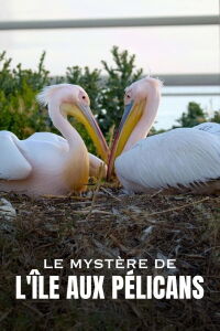 Le mystère de l'île aux pélicans (2023)