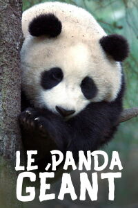 Le Panda géant (2020)