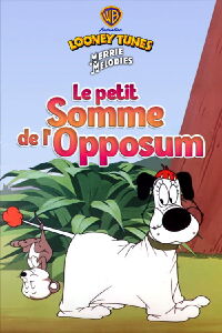 Le petit somme de l'opossum (1951)