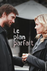 Le plan parfait (2010)