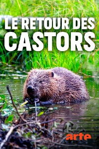 Le retour des castors : bâtisseurs de la nature (2020)