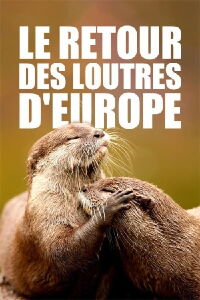 Le retour des loutres d'Europe (2020)