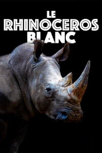 Le rhinocéros blanc - Une aventure familiale au cœur de l’Afrique (2022)