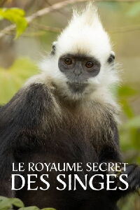 Le Royaume secret des singes (2021)