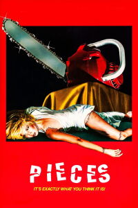 Le Sadique à la tronçonneuse (1982)