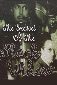 Le Secret de la veuve noire (1963)