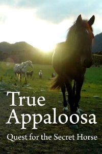 Le Véritable Appaloosa (2015)
