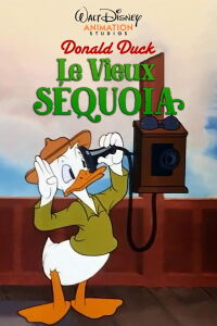 Le Vieux Séquoia (1945)
