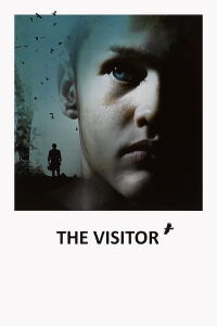 Le visiteur (2008)
