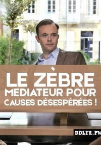 Le zèbre, médiateur pour causes désespérées ! (2016)
