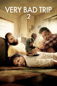 Lendemain de veille 2 (2011)