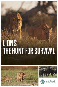 Leones: La lucha por la supervivencia (2021)
