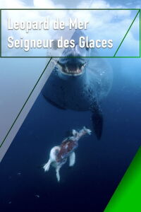 Leopard Seals: Lords of the Ice (2004)
