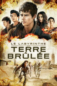 L'épreuve : La terre brûlée (2015)