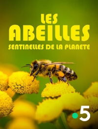 Les abeilles, sentinelles de la planète (2024)