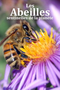 Les abeilles, sentinelles de la planète (2024)