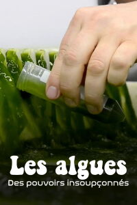 Les Algues : Des pouvoirs insoupçonnés (2020)