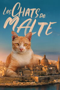 Les chats de Malte (2022)