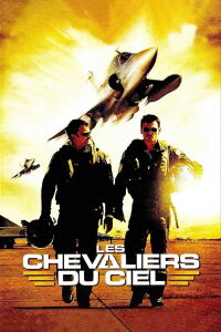 Les Chevaliers du ciel (2005)