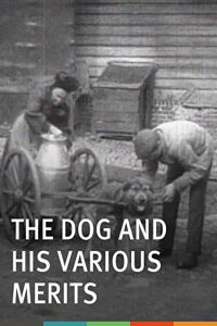 Les chiens et ses services (1907)