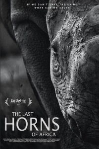 Les derniers rhinocéros d’Afrique (2021)