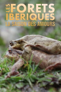 Les forêts ibériques : La saison des amours (2020)